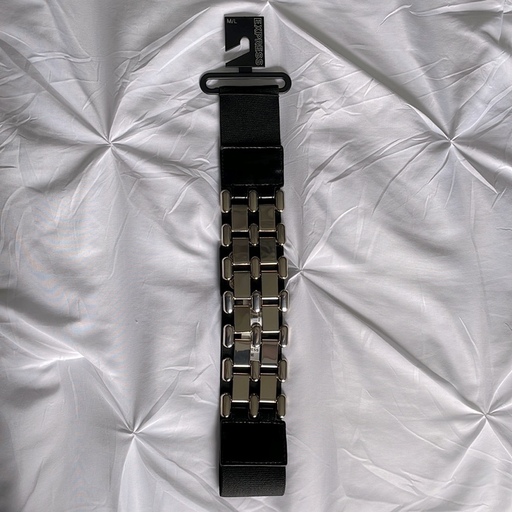 NWT Express Fashion Belt